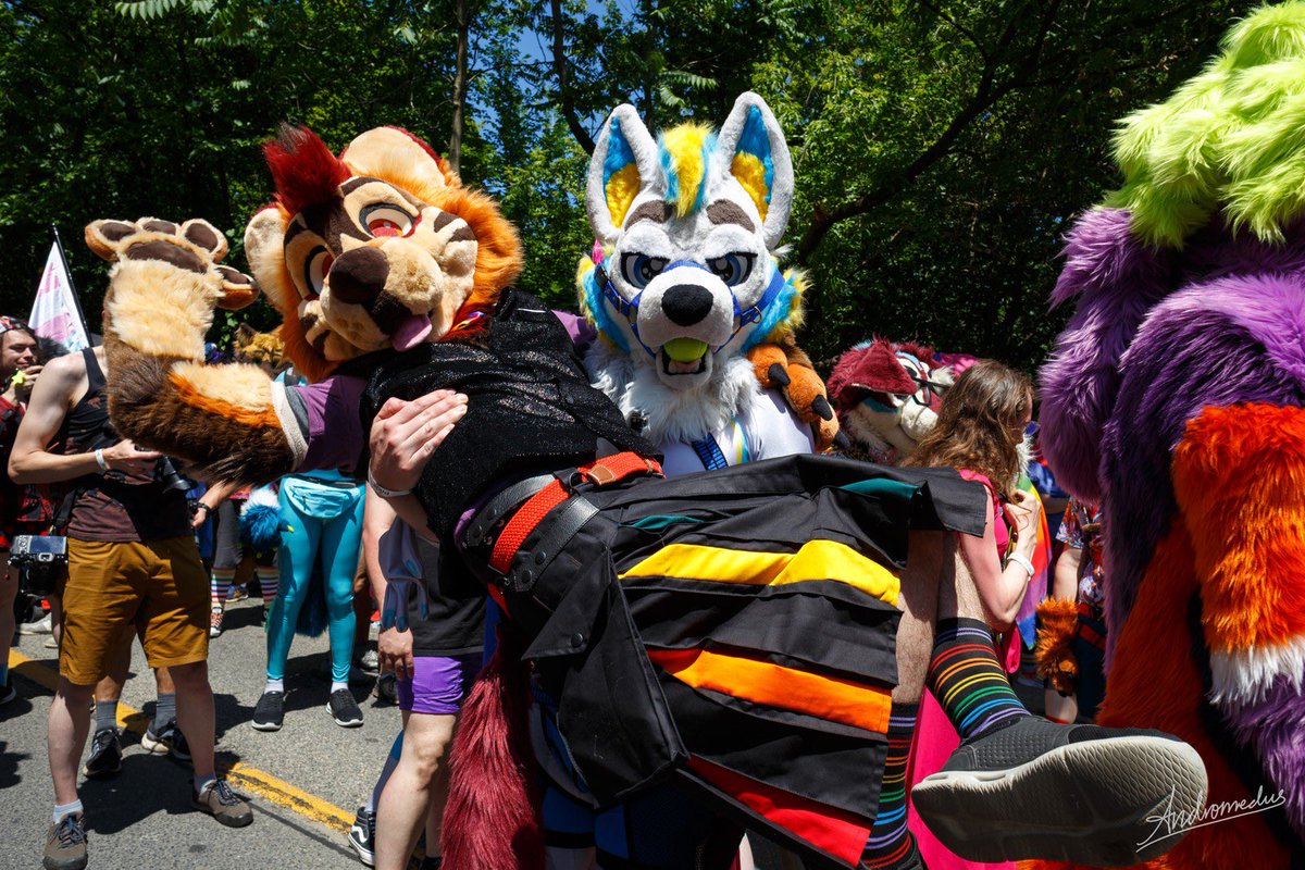 ArdenWolfsky's tweet image. Help I have been wolf-napped by @spark_husky 

📸 @AndromedusWolf #FursuitFriday #furry #FridayFeeling