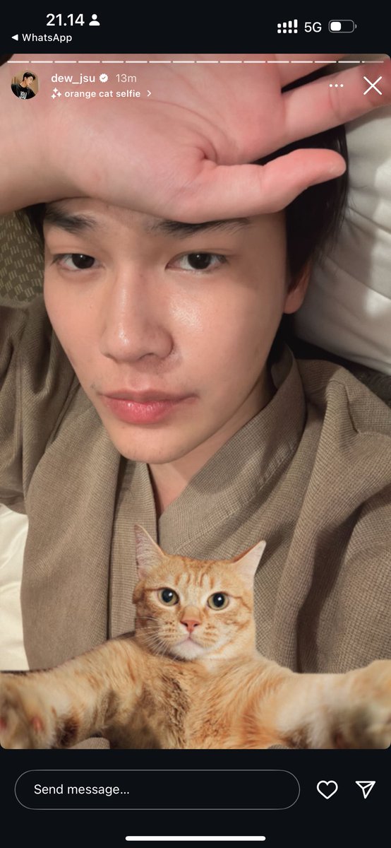 natacantiik's tweet photo. THANK YOU THAILAND https://t.co/XHrgcKOzuQ