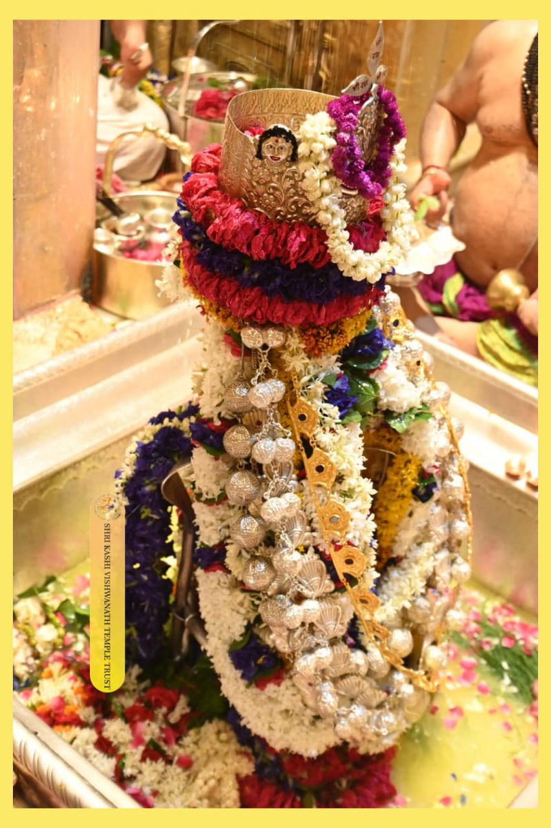 ShriVishwanath's tweet photo. आज श्री काशी विश्वनाथ जी की सप्तऋषि आरती I
#kashivishwanath #kashi #sanatandharma #banaras https://t.co/lpnR6SNlQ4