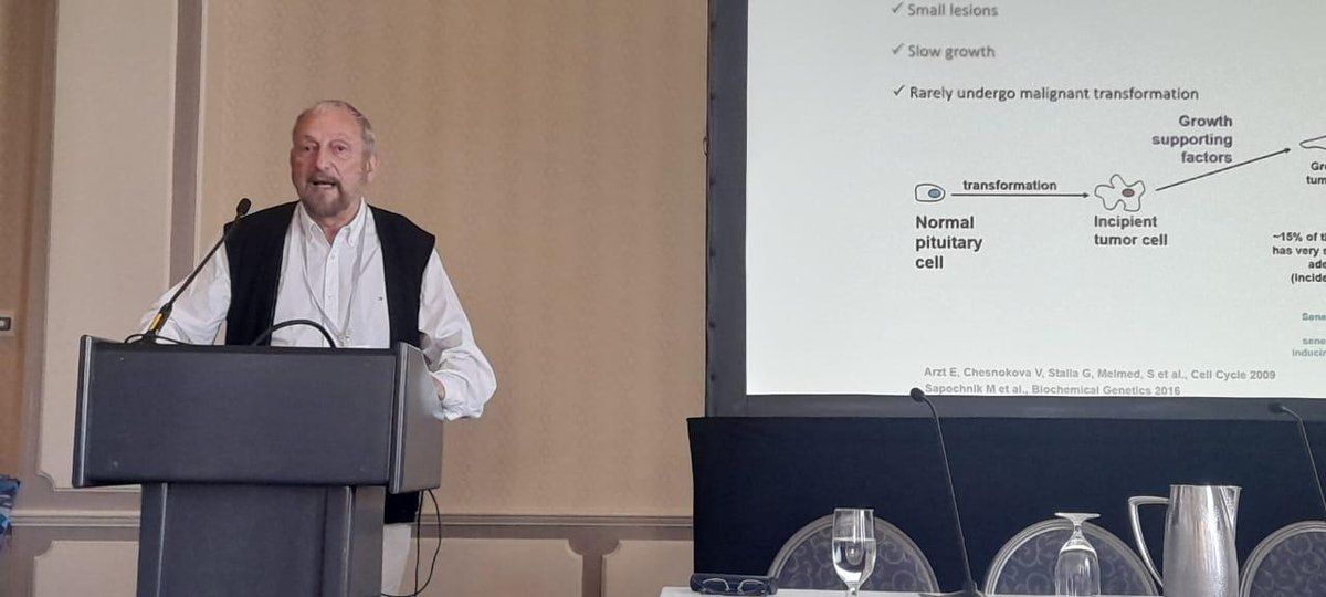 Instituto de Investigación en Biomedicina de BsAs tweet media