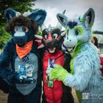 Photo by Zepp Dragon (@Zeppdragon)