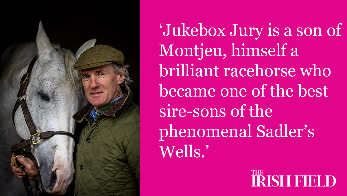 In The Irish Field this weekend, <a href="/PowellLeo/">Leo Powell</a> pays tribute to <a href="/BurgageStud/">Burgage Stud</a> 's Jukebox Jury who sadly died this week
