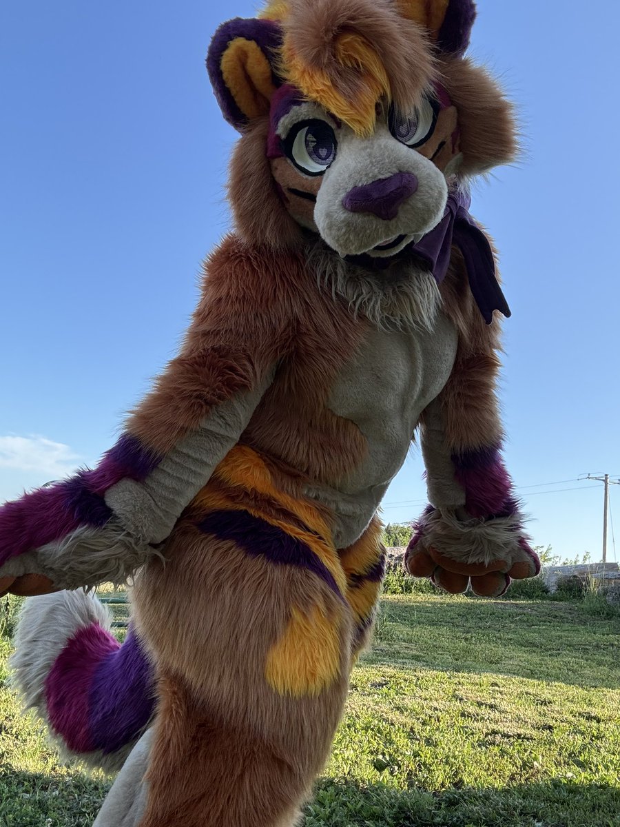 Nirathesaber's tweet photo. It’s Friday!! Happy #FursuitFriday https://t.co/XIjJlheCDI