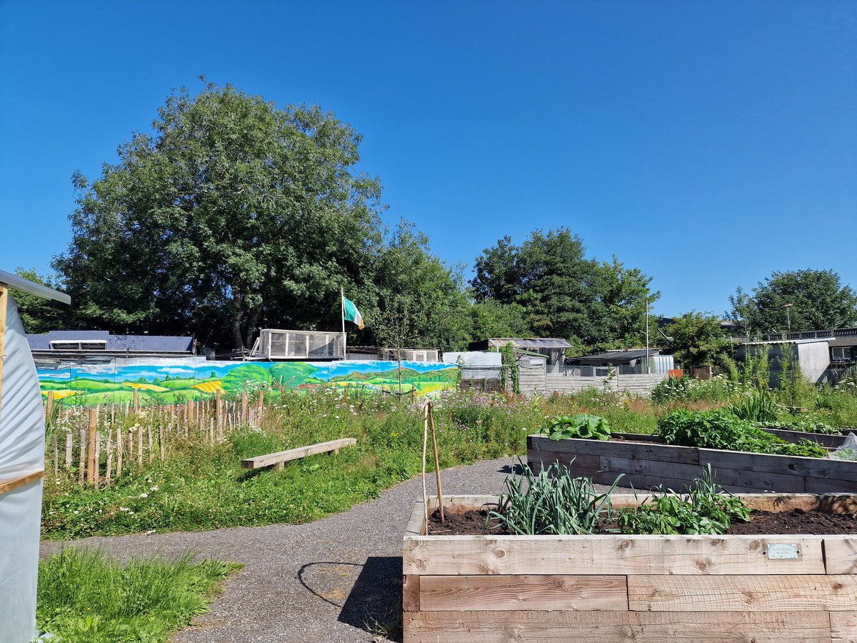 CommunityLucy (@lucy_community) on Twitter photo Today I joined Jan and the ladies from Heads up ladies at Blackleach Allotments for the first of their weekly wellbeing gardening sessions. I even got to play with the strimmer. #Tescowalkdencommunity <a href="/JhJeni/">Jeni Harris</a> <a href="/elainefox18/">elaine fox</a> <a href="/irfanuk/">Cllr Irfan Syed - All views are my own :)</a> <a href="/jcarrington1974/">Jonathan Carrington</a> Today I joined Jan and the ladies from Heads up ladies at Blackleach Allotments for the first of their weekly wellbeing gardening sessions. I even got to play with the strimmer. #Tescowalkdencommunity <a href="/JhJeni/">Jeni Harris</a> <a href="/elainefox18/">elaine fox</a> <a href="/irfanuk/">Cllr Irfan Syed - All views are my own :)</a> <a href="/jcarrington1974/">Jonathan Carrington</a>