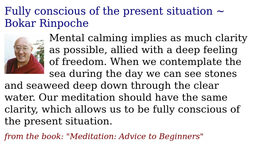 JDharmaQuotes's tweet photo. Fully conscious of the present situation ~ Bokar Rinpoche
https://t.co/gTL3jt49zc

#BokarRinpoche #freedom #presentsituation #clarity https://t.co/mn05eUmLlQ