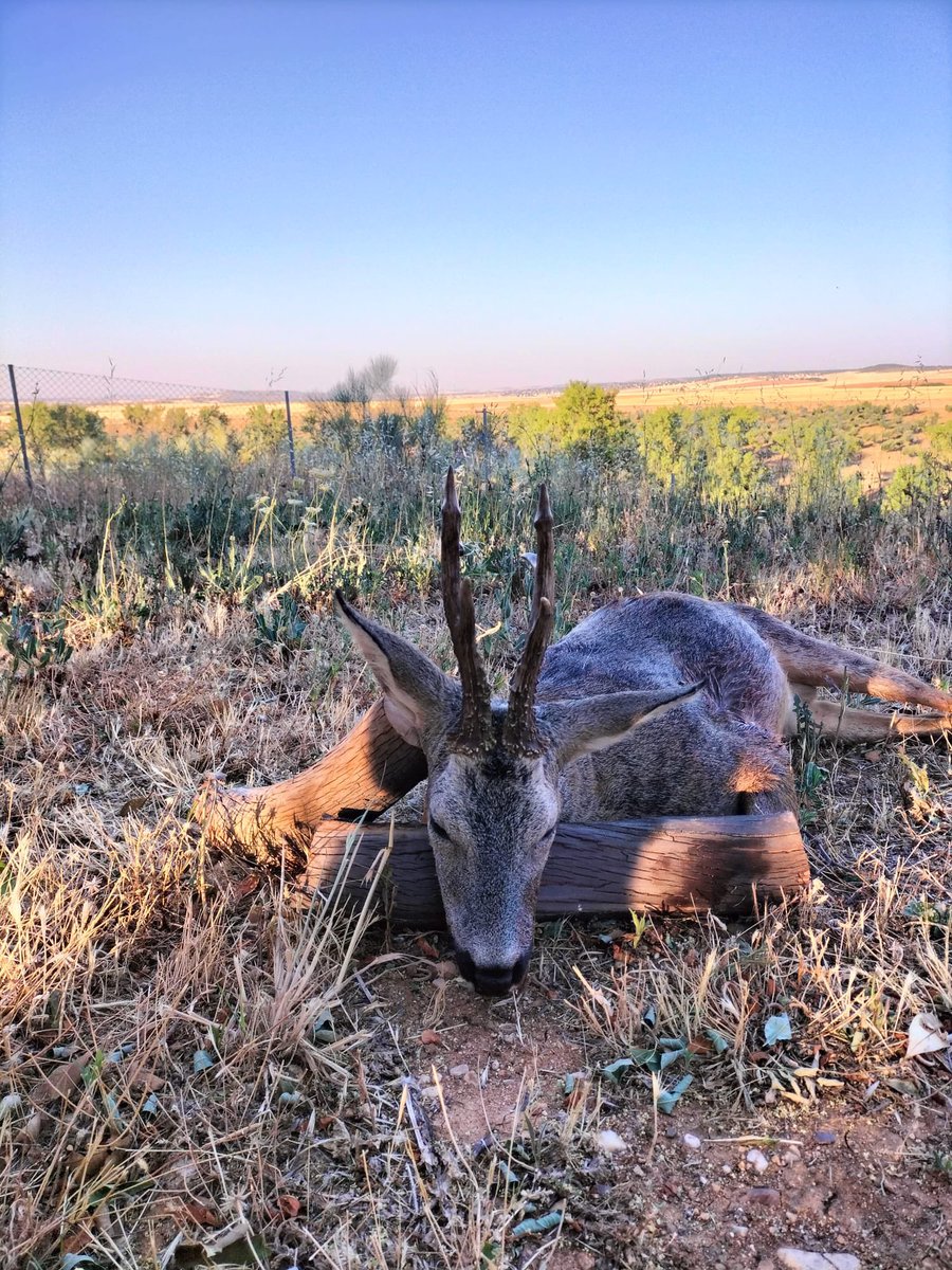 Despues de muchas horas de campo, finalmente dimos con el…