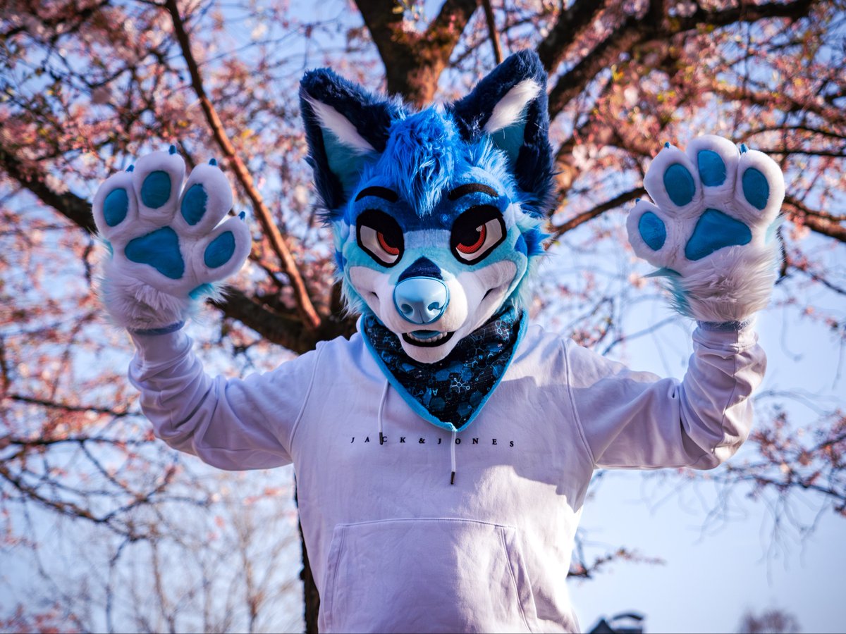 scary wolf!

📸 <a href="/luckybluefox/">Lucky</a> (edited by <a href="/darkDrakee/">Drakee</a>)

#FursuitFriday