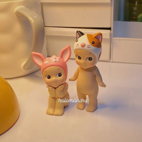 dru 🍊 tweet media