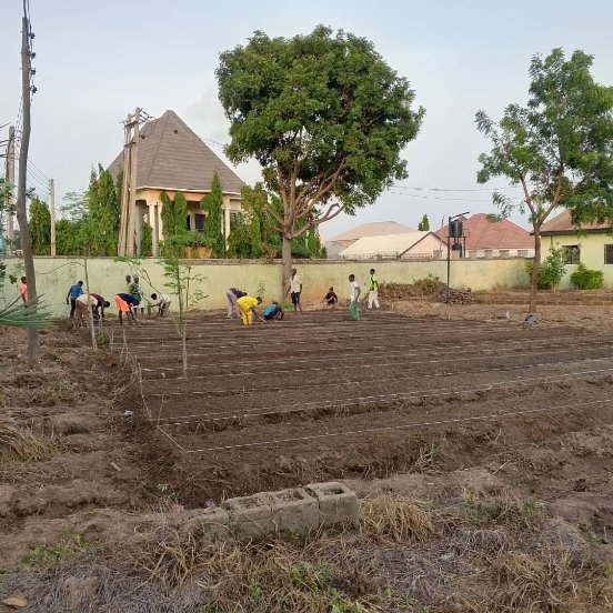 FREE_NG_'s tweet photo. In collaboration with Seeking Reward Foundation (SRF) and Dawwah for Jannah Initiative (DJI), we’re gearing up for the 2025 rainy season with sustainable tomato and vegetable farming! Adopting smart agricultural practices like trellising, mulching, and https://t.co/kiaPABdjCR