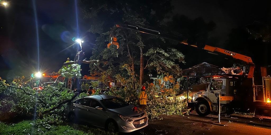 During last night’s storm, Urban Forestry received two calls for trees down blocking roads and crews responded immediately. Remember, during a tree emergency--like if one falls and blocks a road--please contact 911 at any time of day; trained City arborists will respond to help.