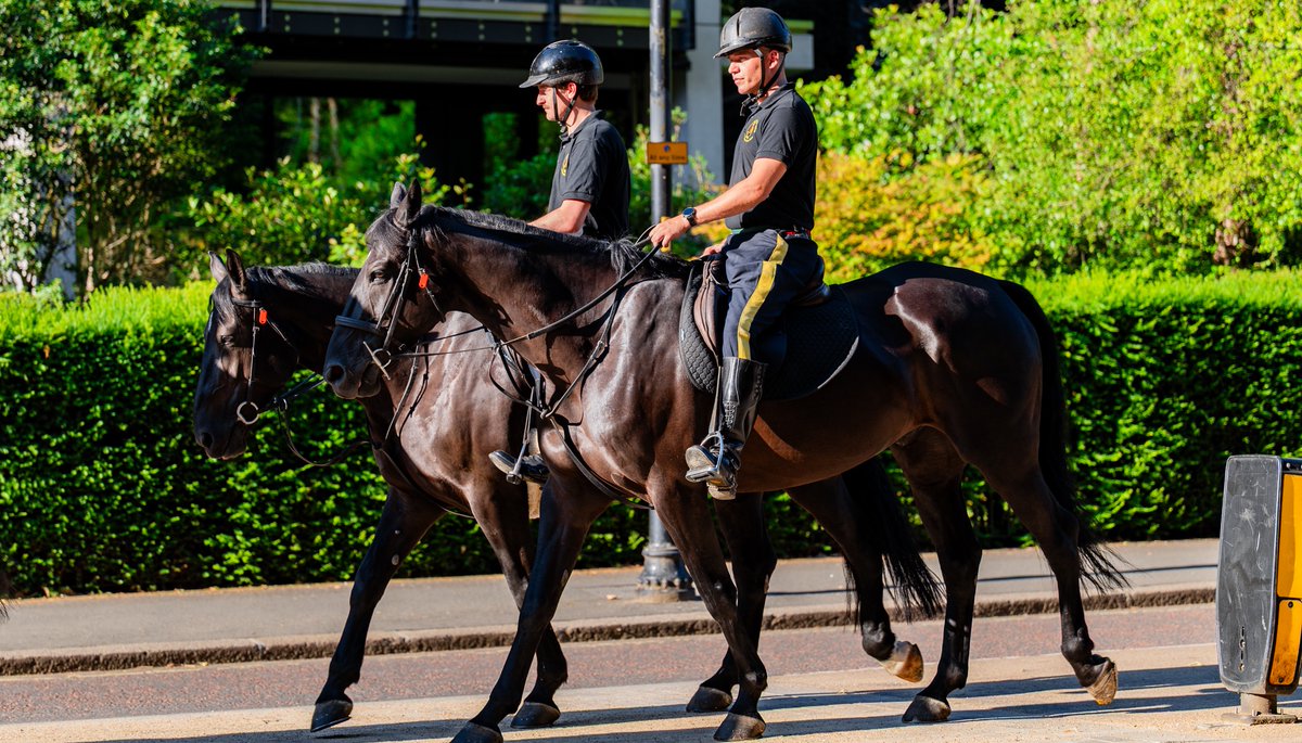 army_SM_armee's tweet image. Congratulations to The Lord Strathcona’s Horse (Royal Canadians), who will mount the King’s Life Guard in July. Only one other unit from outside the UK has done so, making this a rare honour. I know they will represent us well.