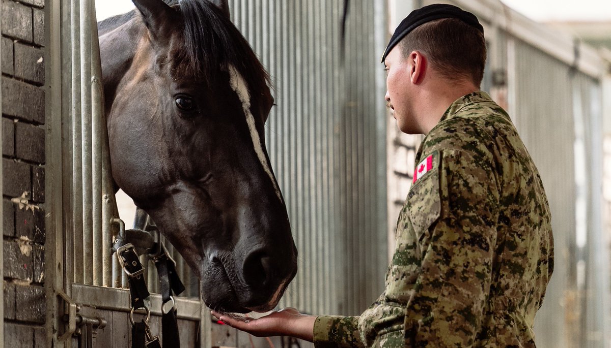 army_SM_armee's tweet image. Félicitations aux membres du Lord Strathcona’s Horse (Royal Canadians) qui monteront la Garde du corps du roi en juillet. Seule une autre unité hors du Royaume-Uni a eu cet honneur, ce qui en fait un évènement rare. Je sais qu’ils nous représenteront dignement.