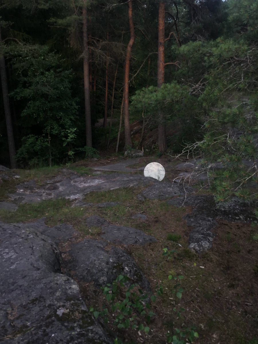 Finnsanity's tweet photo. #Metsä #kesä #luontovalokuvaus #kuu #arhikuittinen #voimapaikat #käärmekallio #helsinki #finland #finnish #sauna #Suomi #loitsu #kalevala https://t.co/eu4g5m4yAE