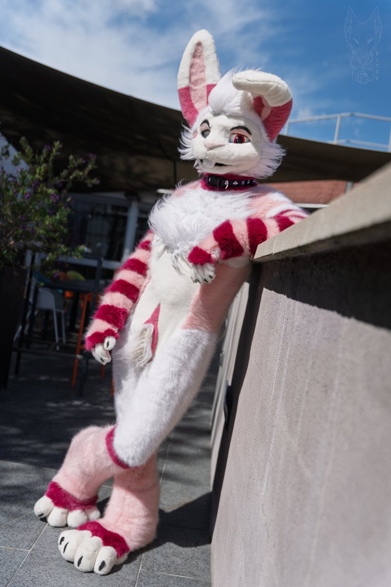 ✨ Shooting slots open for FBL 2025!
Can’t wait to shoot again this year!
Want photos? DM me! 💙

Fursuiter : <a href="/djemloup/">Djem - 🐺 - 🇪🇺</a> <a href="/kaitowilddogg/">𝙠𝙬𝙖𝙩𝙤‼️➡️SCOTIACON</a>
@Dirty_burito and a Rabbit 🐇
Builder : <a href="/WildFoxWorks/">🦊WILDFOXWORKS🦊 🔜 NFC & AWOO</a> <a href="/OktaviasCsuits/">Oktavia’s Creatures</a> <a href="/AlphaDogsStudio/">Alpha Dogs</a>
<a href="/Stopid_Katt/">This_StopidKatt</a> and <a href="/Tiwoof/">Omegapaws!</a>

#FursuitFriday