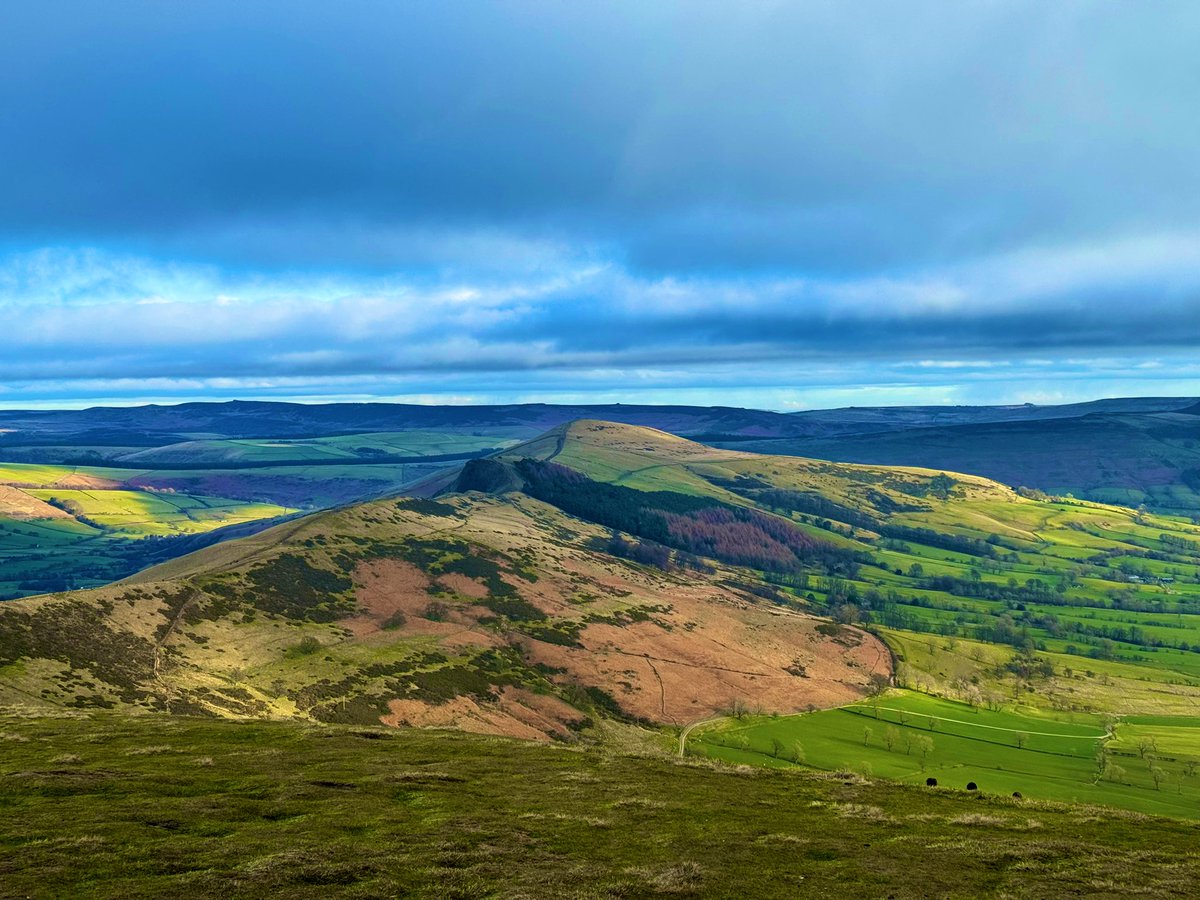 Jocaccia tweet media