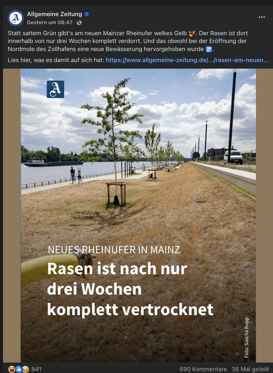 Klimakatastroph's tweet photo. Tja, würden die Wiesen seltener gemäht und die Schnitthöhe angehoben werden, dann könnten man der Vertrocknung entgegenwirken und die Tiere hätten auch noch etwas davon. Die Lösung wäre so einfach. Das würde ich auch als Klimaanpassung sehen, oder? https://t.co/EyiHqqShQr