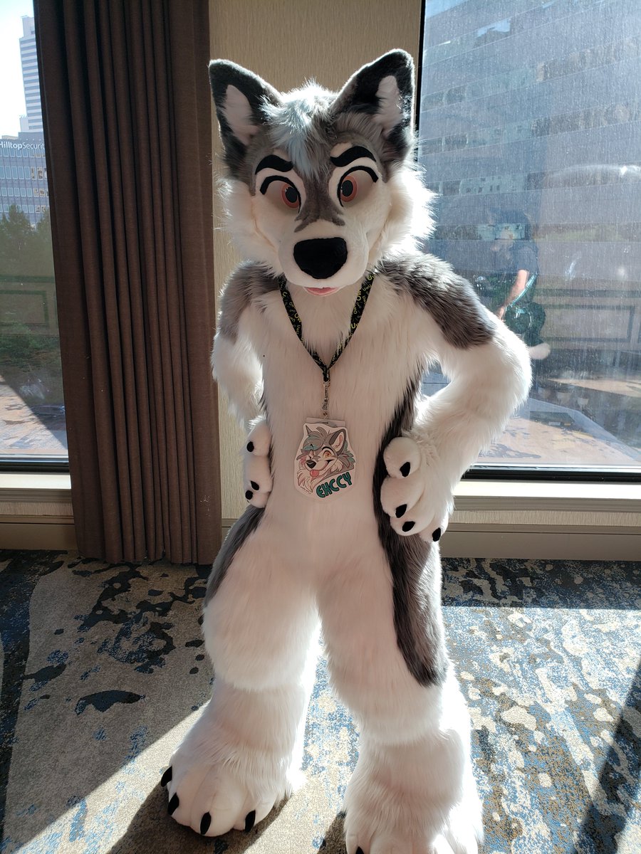 Erik Volkov tweet media