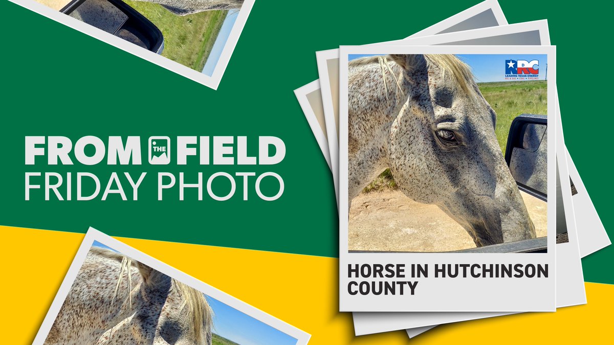 txrrc's tweet image. O&G inspector Randy Milligan met a new friend in Hutchinson County!
#FromTheFieldFriday