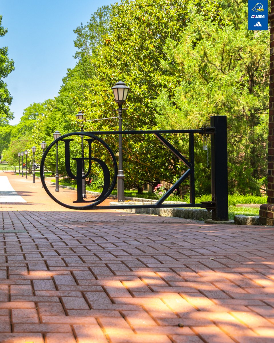 Campus in the summer 🤩