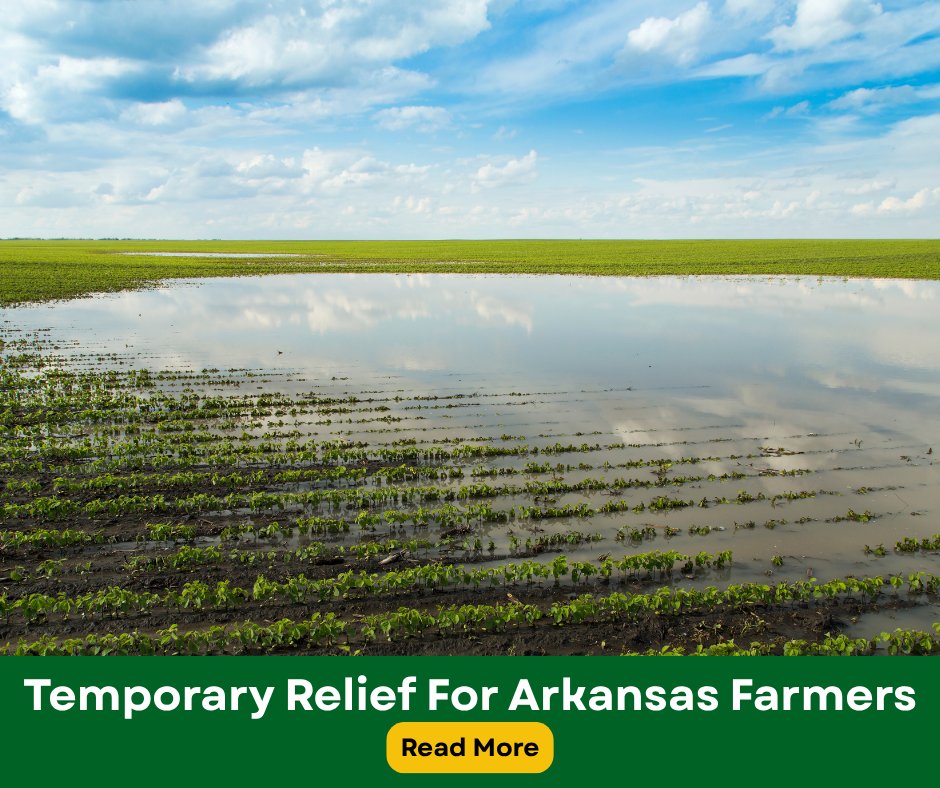 arkansassoybean's tweet image. After declining farm income, Arkansas producers recently saw some relief. Disaster aid and insurance payments helped offset losses from drought and rising input costs.
Read more: monkeylink.co/ff8d3b
#ArkansasProducers #ArkansasSoybean #SoybeanProducers