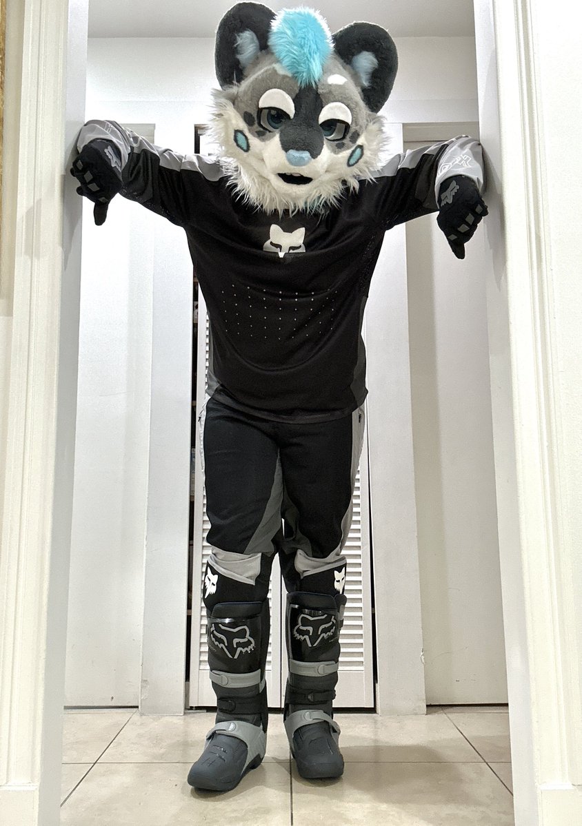 furquattro's tweet image. Siri, play βSuddenly I Seeβ by KT Tunstall for #FursuitFriday