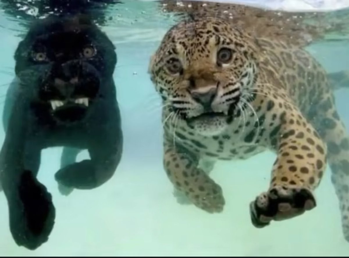 Me & Who? (@tagyourwho) on Twitter photo 