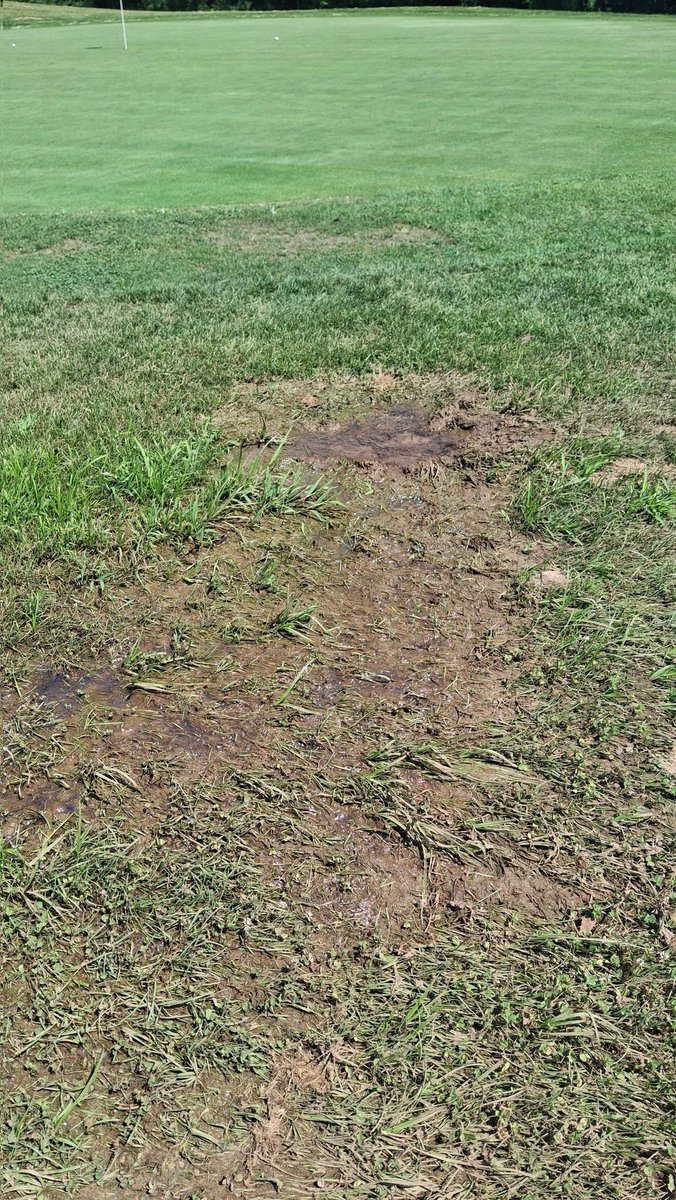 Louisville Metro Golf tweet media