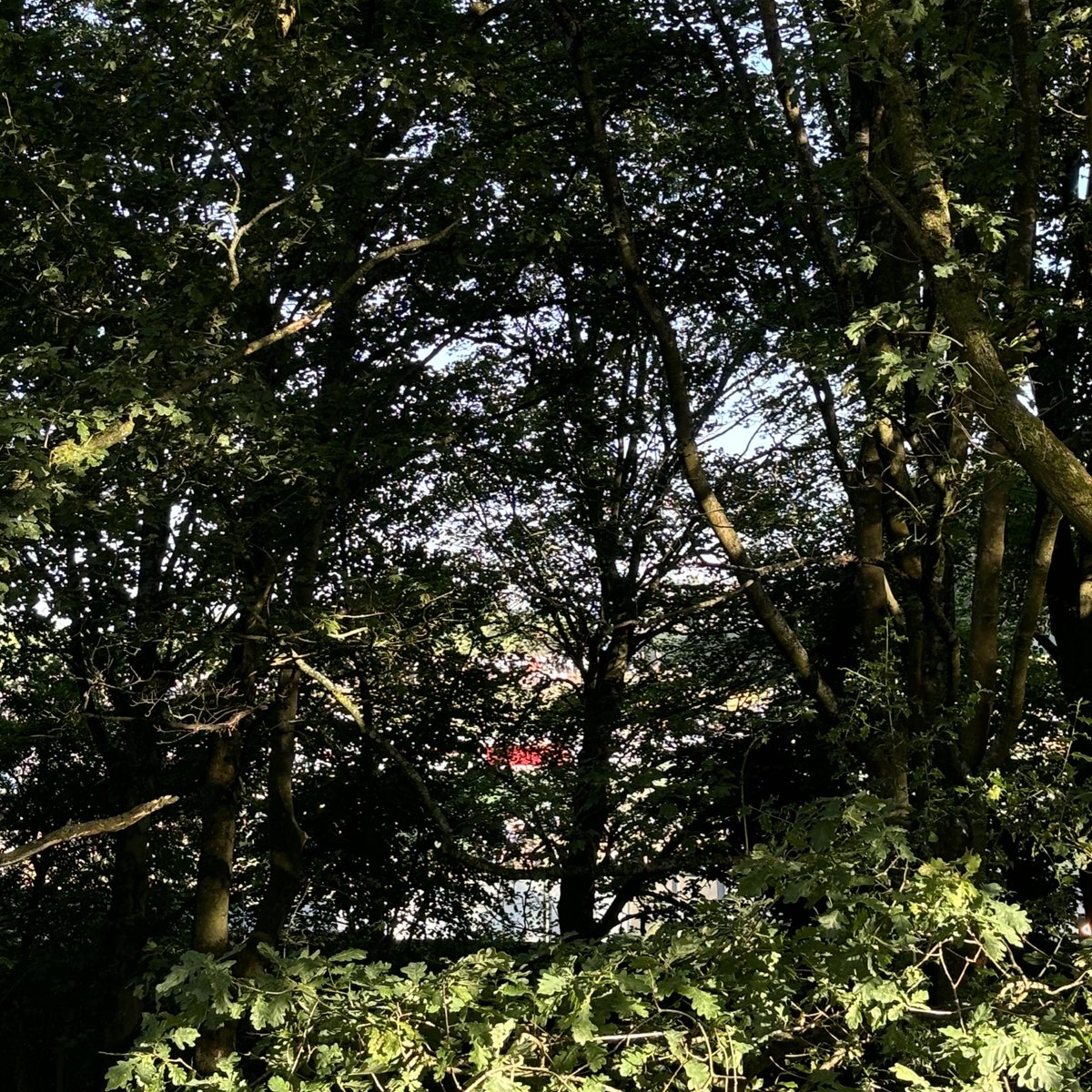 zoee__ab's tweet image. sat outside HP - ashcroft sounds amazing, 10/10 vibes