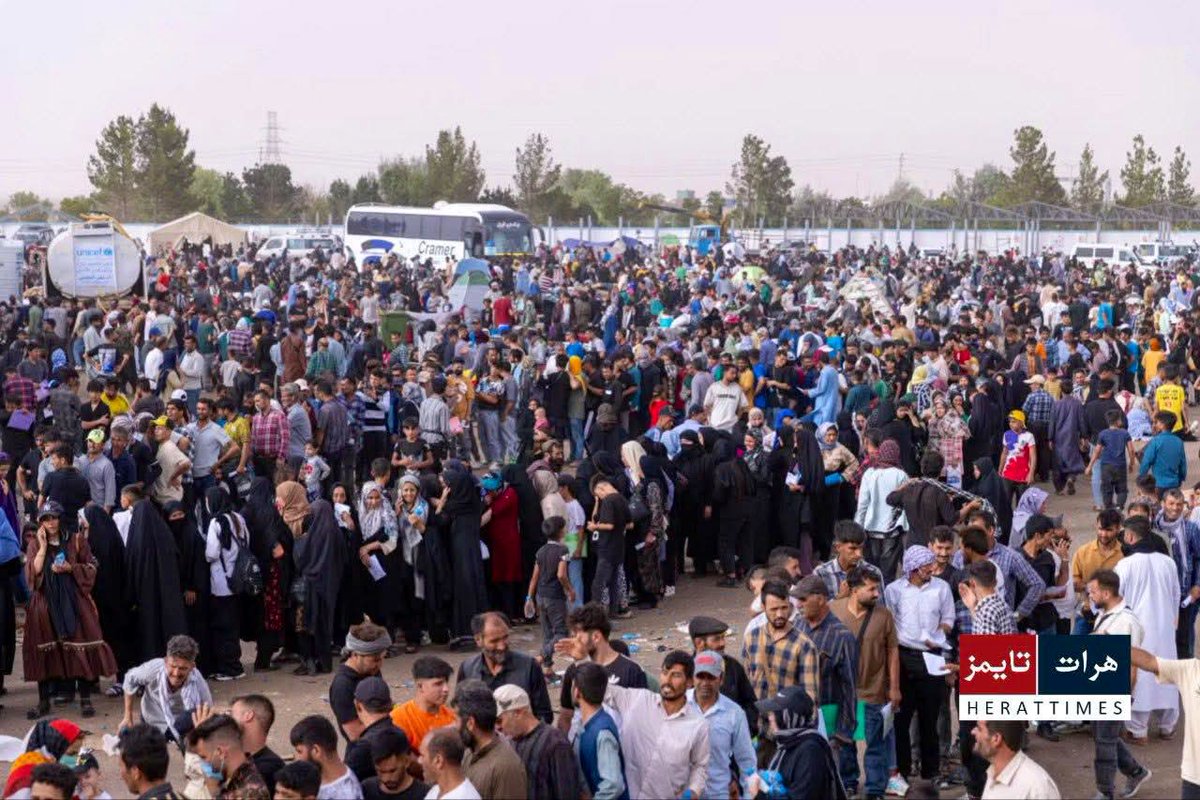 نحن لم نجد حظًا طيبًا من أي جارٍ لنا. حين مرّت إيران بأوقاتٍ صعبة، فتحنا صدورنا لحجاجهم وأعفيناهم من رسوم التأشيرات ليرجعوا إلى بلدهم براً.

لكنهم قابلونا بالإساءة، وطردوا أبناء وطننا بأبشع أسلوب.
لن ننسى هذا الظلم الذي فرضته علينا الأيام.

#مهاجرین_ایران 
#afghanrefugees