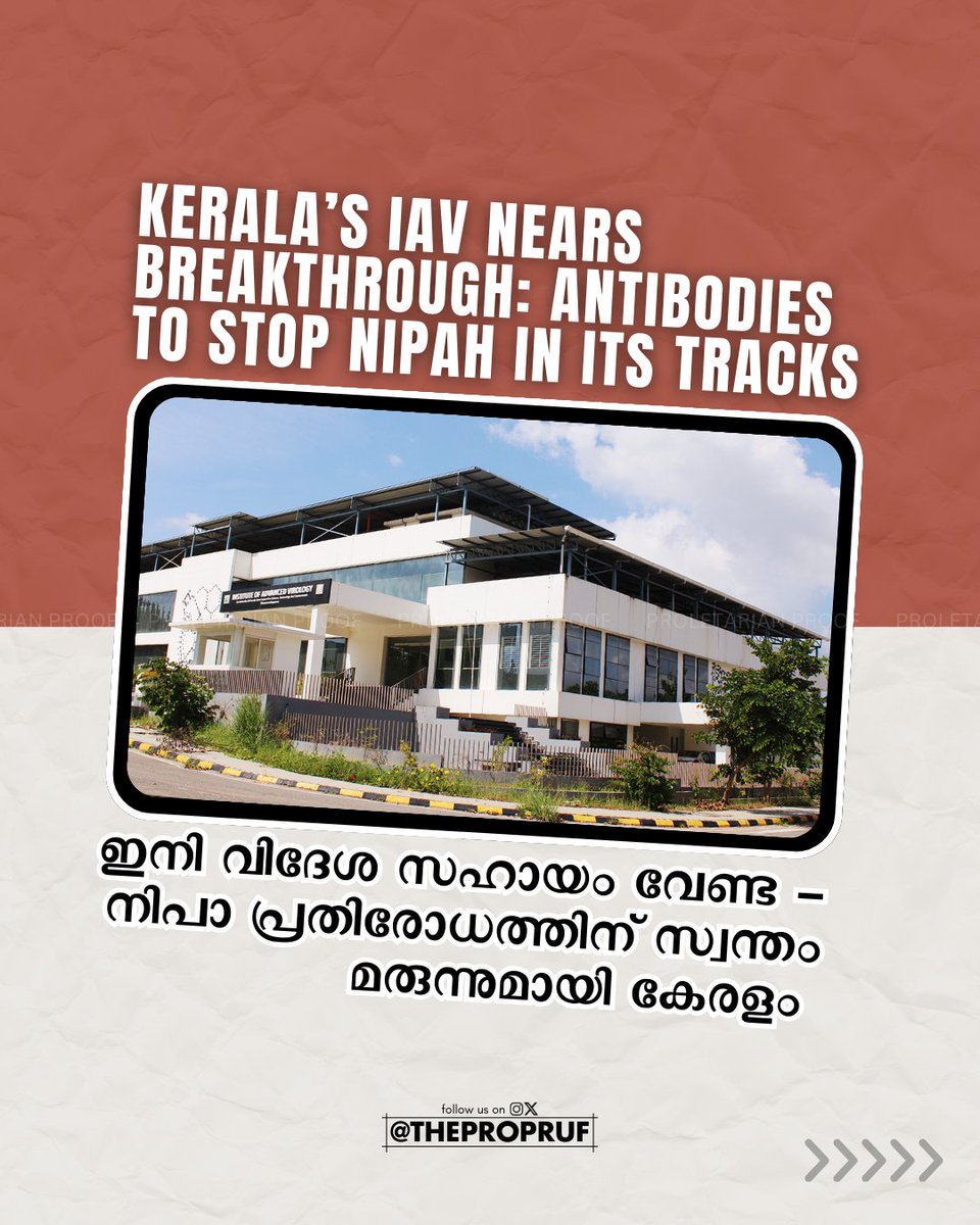 thepropruf's tweet image. ๐จBIG BREAKING 
๐งฌ Kerala on the Frontline: Institute of Advanced Virology in Kerala Set to Block Nipah Virus with Homegrown Antibodies ๐ฎ๐ณ๐ก๏ธ
#Nipah #KeralaInnovation #IAV #HealthBreakthrough #MadeInKerala #VirusResearch #PublicHealth