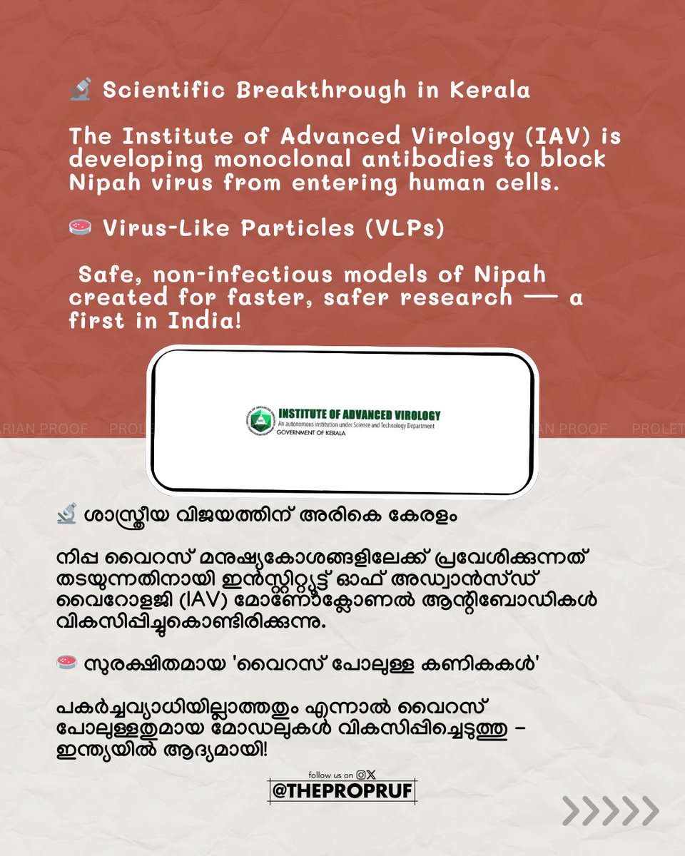 thepropruf's tweet image. ๐จBIG BREAKING 
๐งฌ Kerala on the Frontline: Institute of Advanced Virology in Kerala Set to Block Nipah Virus with Homegrown Antibodies ๐ฎ๐ณ๐ก๏ธ
#Nipah #KeralaInnovation #IAV #HealthBreakthrough #MadeInKerala #VirusResearch #PublicHealth