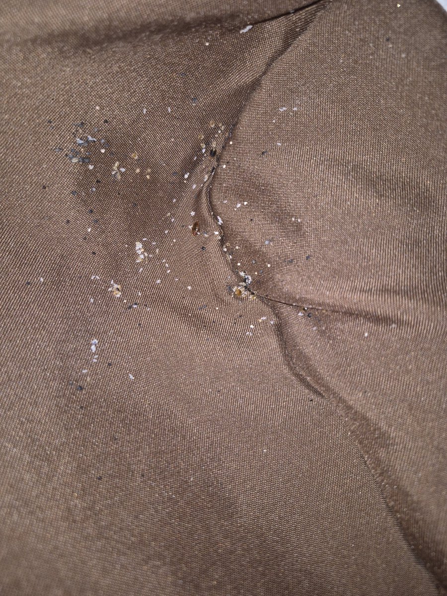 Jerry's McGriddle tweet media