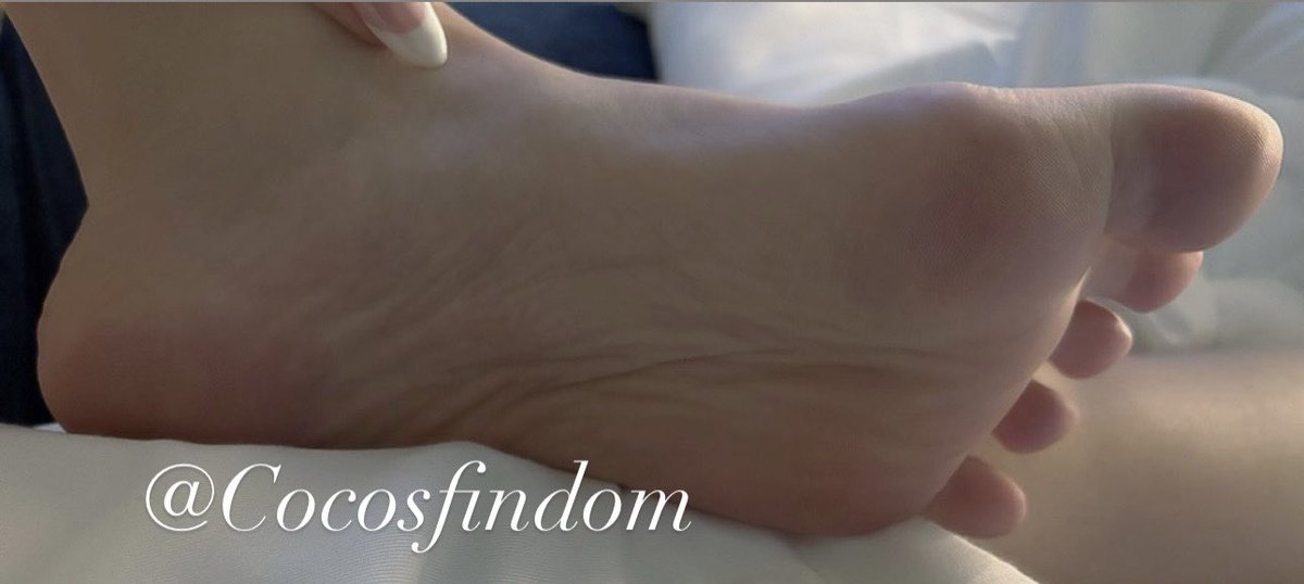 My conditioning is working. This is the only place you feel safe now… under My soft, wrinkly pink sole. 😍
