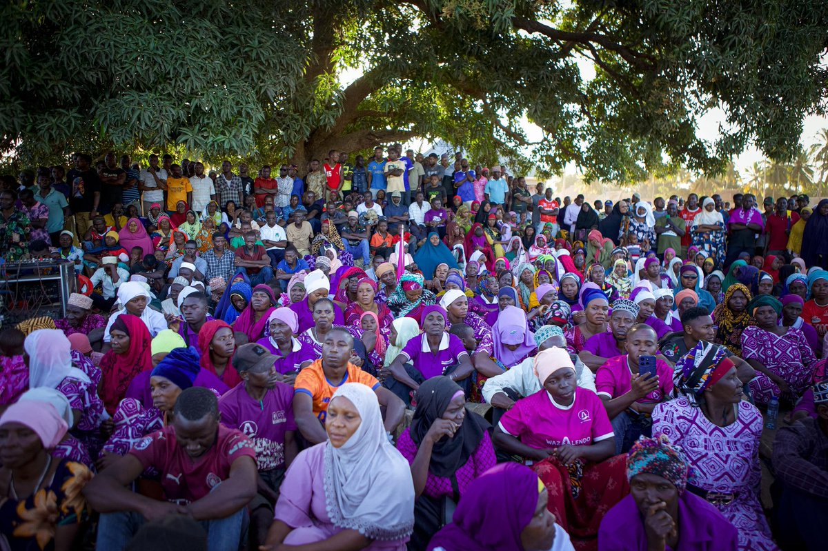 Tandaimba 🔥🔥🔥