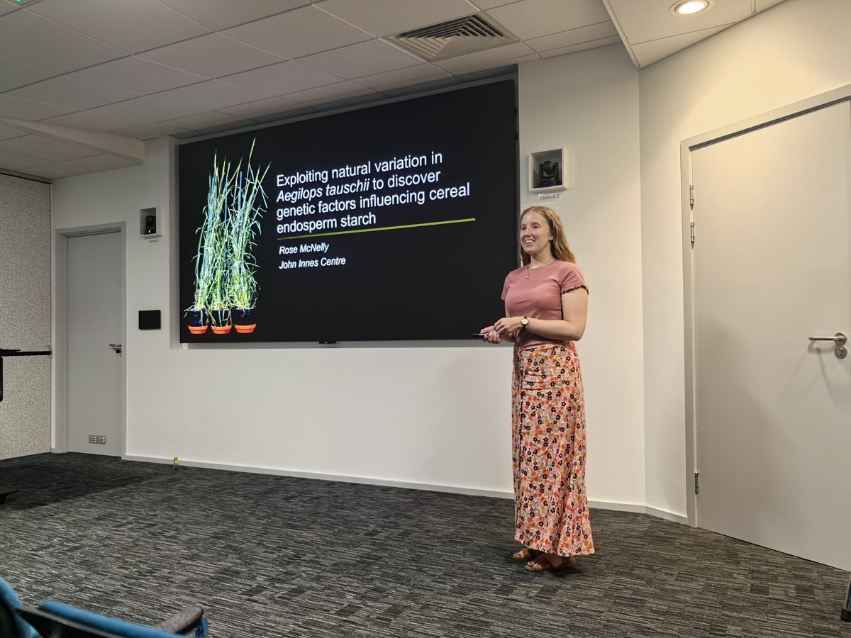 Today I was lucky enough to attend an International Wheat Symposium at the <a href="/JohnInnesCentre/">John Innes Centre</a> 🌾 There were many inspiring talks and I learnt so much about disease resistance, biofortification, breeding.... And I loved being able to share my work on starch in wheat wild relatives