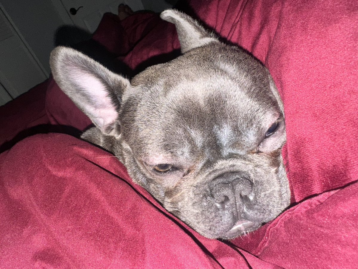 bobby with that tool tweet media