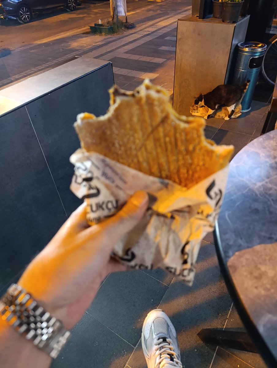 Herkes ekmeğinde 😅

#kedi 
#chat