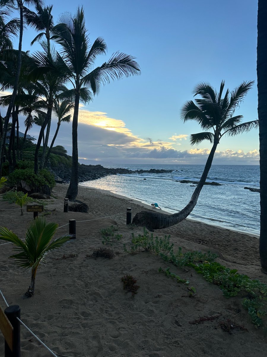 Joeandt2002's tweet photo. Another great  Maui sunset! https://t.co/sghkVeQSQS
