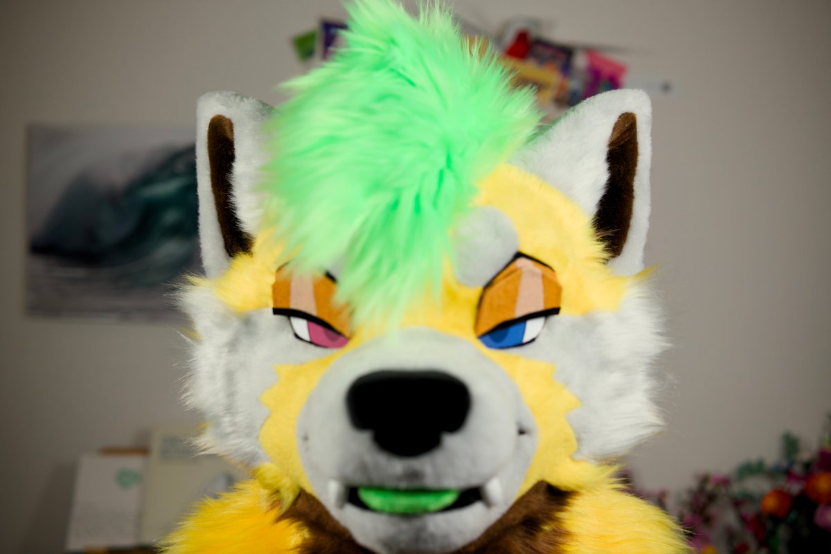 What're you doing?

First #fursuitfriday with my new boy!

#furry #fursuit
