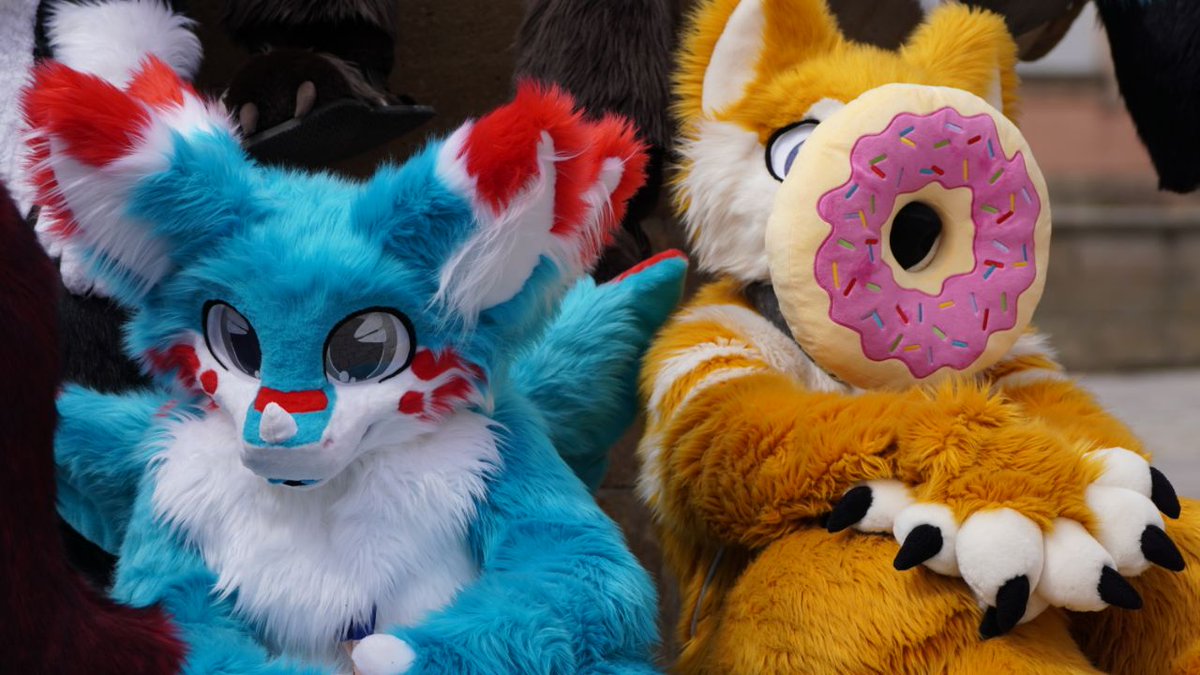 📸 @/Fluffy621
HappyFursuitFriday❄️🍓🍩