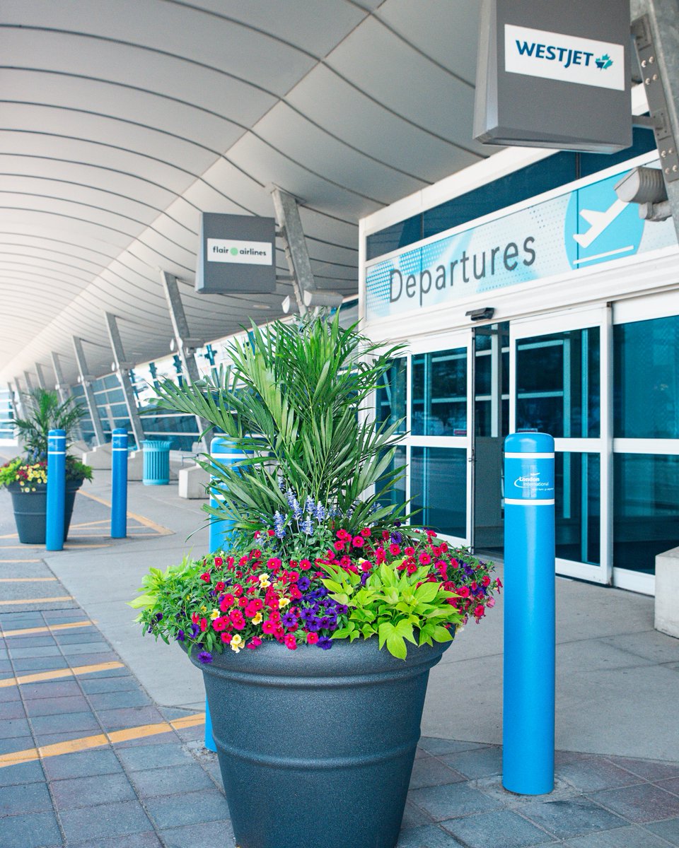 Heeman's sure knows how to make our airport look good!🪴✈️
These beautiful planters at the Departures and Arrivals doors add a vibrant splash of nature as people depart for adventures or are welcomed home. Thank you, <a href="/Heemans/">Heeman's</a>!🍓#ldnont #heemans #yxu #flyyxu