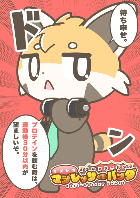 マジレスするレッサーパンダ、マジレッサーパンダ #マジレッサーパンダ 