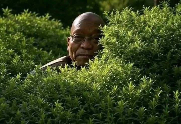 Money looking at you trying to get it via education...😆😆😆😆😅😅😅😅😅😂😂😂😂😂😂😂😂😂😂😂😂😂😂