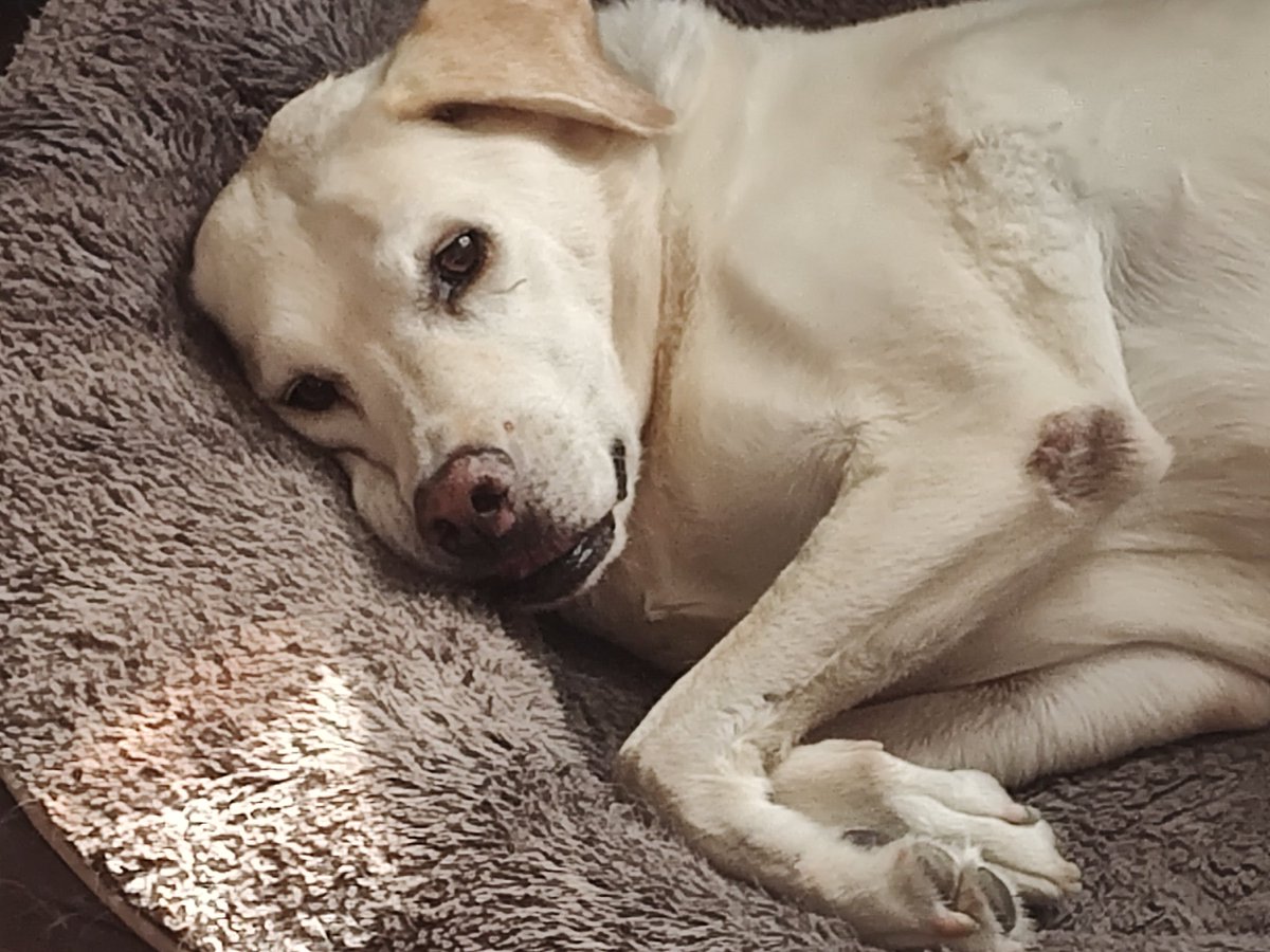 Annie M Harrison\, image size:1200x900