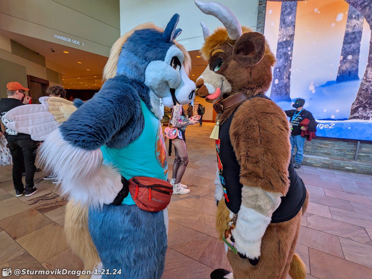 Diamond__Bull's tweet image. I swear, bulls can give you wings too!
#FursuitFriday
🐴 - bsky.app/profile/cashle…
🐂🪡 - @TheGoldenMaw