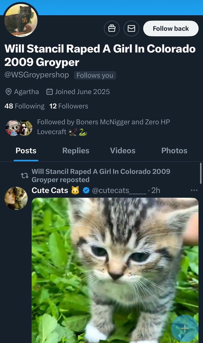 Tweet media one