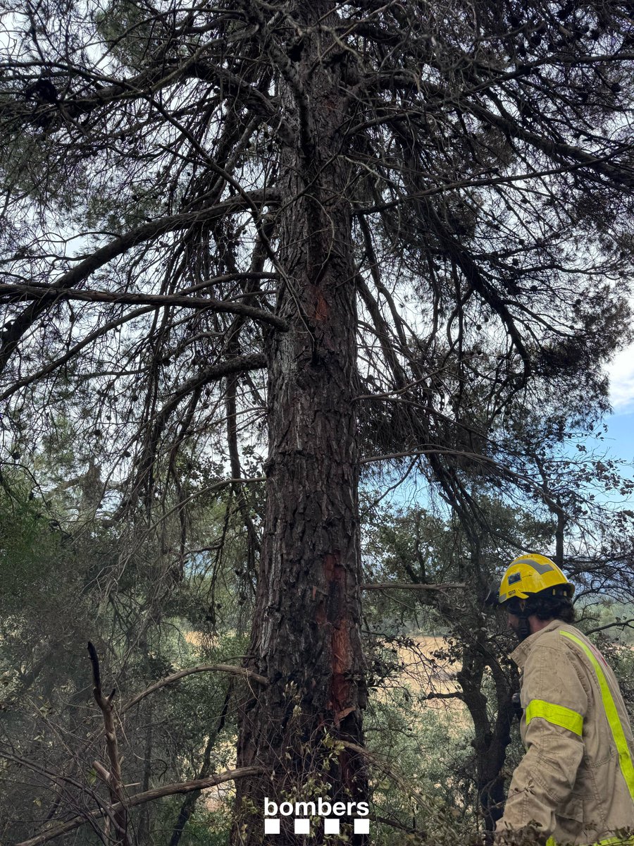 Treballem en un incendi de vegetació a Horta de Sant Joan (avís 16.40h <a href="/112/">112</a>). Ha cremat vegetació forestal, hem fet l'extinció amb 6 dotacions, amb dues unitats #GRAF

#bomberscat