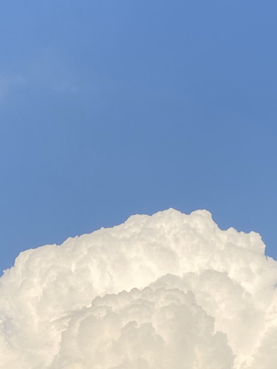 The smoke alarm went off in the hallway upstairs, either to let us know the battery had just died or because the house was on fire. We finished our lunch in silence.

—Don DeLillo, White Noise, 1985