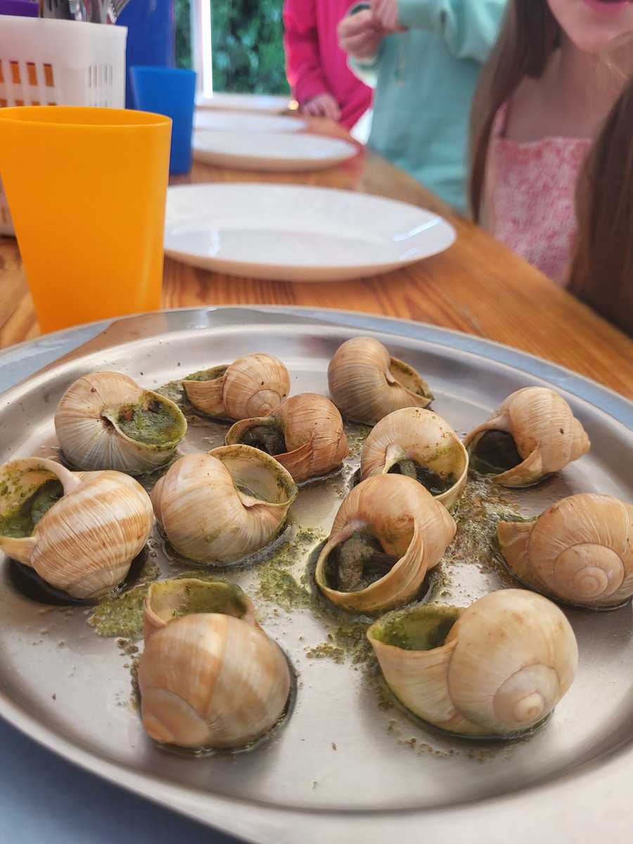 Fielding School Residential Trips tweet media