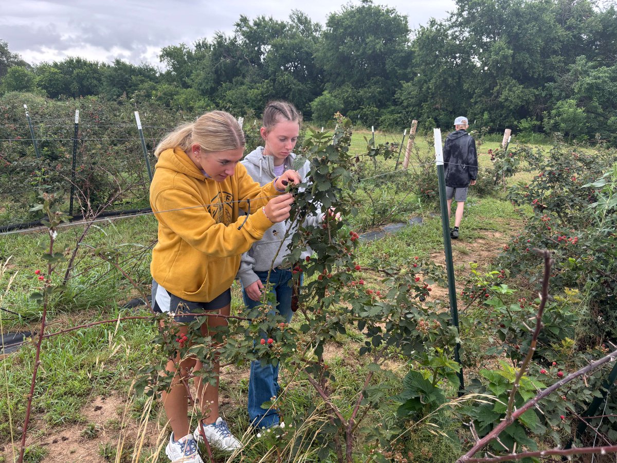 The Osage Community School District is one of a dozen STEM BEST Program models to be  awarded STEM BEST Explore funding with a goal of expanding student knowledge of agriculture careers through an experience they call AGventure.  Read more about it at content.govdelivery.com/accounts/IACIO…